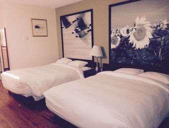 Super 8 By Wyndham Smoky Lake Room photo